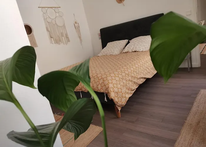 Appartement Catalans