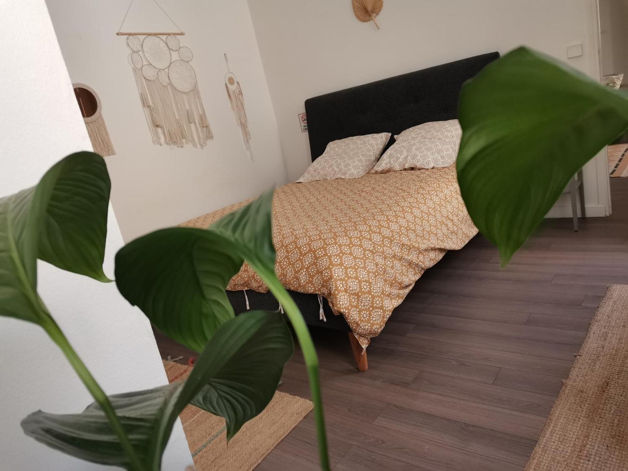 Catalans Apartment Marseille